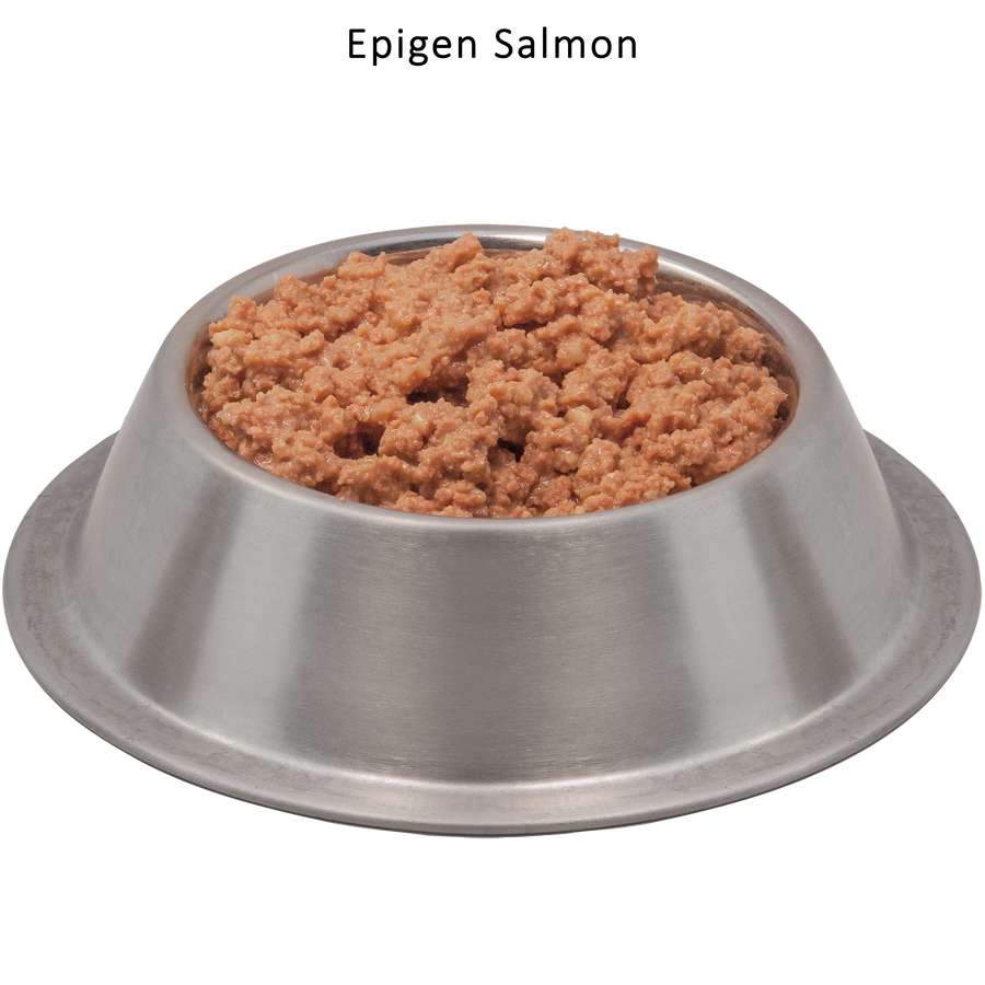 Epigen™ Salmon Starch Free™ Canned Dog & Cat Food